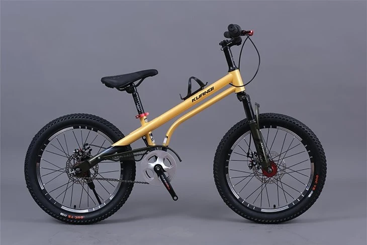 16 Inch Mountain Bike